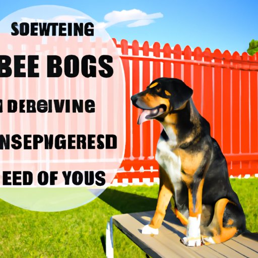 The Benefits of Dog Boarding Over Home Care