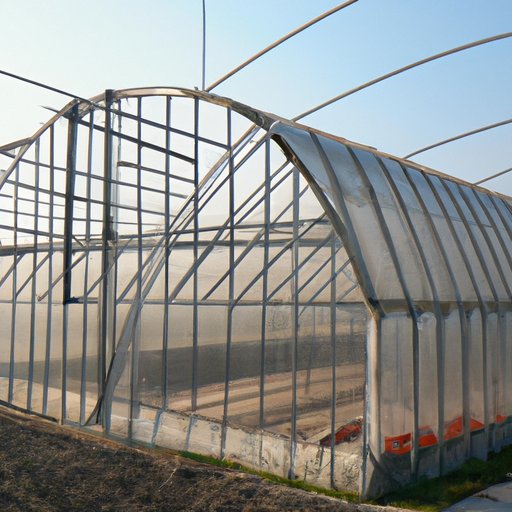How Much Does It Cost to Build a Greenhouse? An Overview of the Costs and Factors Involved The