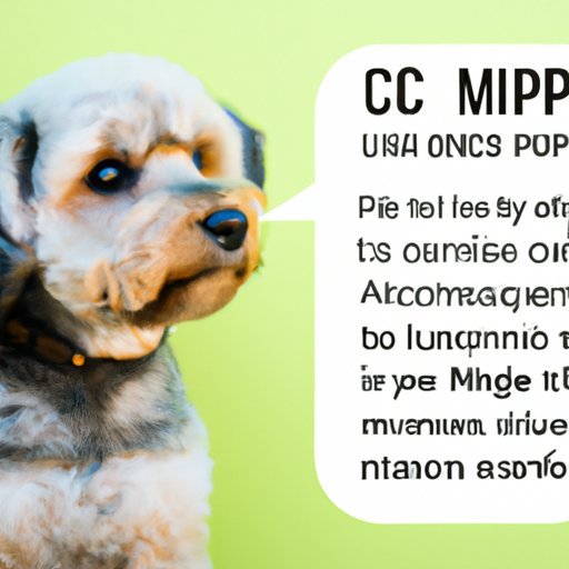 How Much Does It Cost to Get a Dog Microchipped? The Enlightened Mindset