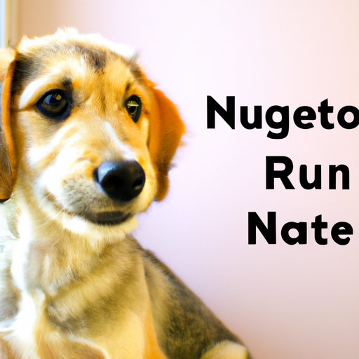 Neutering a Dog: What You Need to Know About the Cost