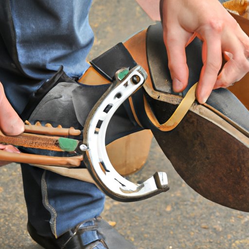 How Much Does It Cost to Shoe a Horse? A Comprehensive Guide The