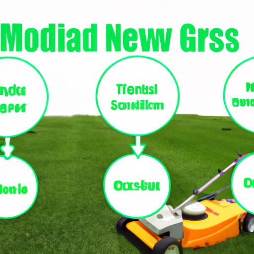 A Guide to Understanding the Necessary Investments for a Mowing Business