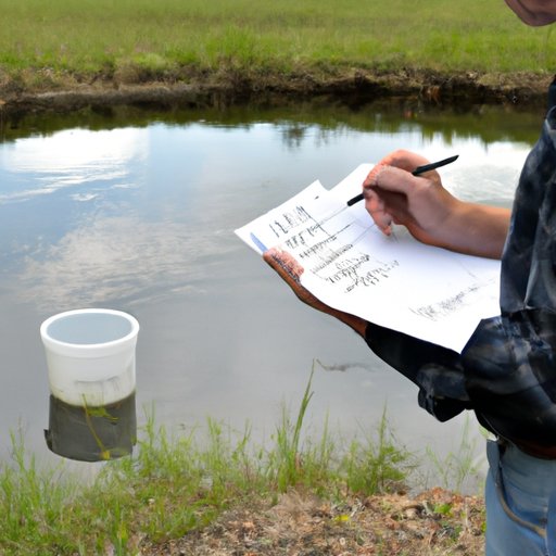 How Much Does It Cost To Stock A Pond? Exploring The Price Tag of