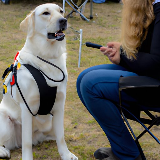 Interview with a Service Dog Trainer
