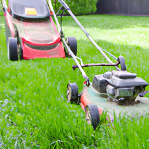 Pros and Cons of Professional Lawn Mowing