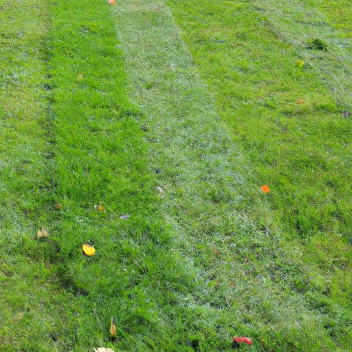 Why Lawn Mowing Costs Can Vary