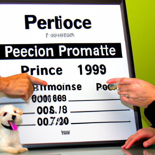 Explaining the Average Cost of Pet Cremation