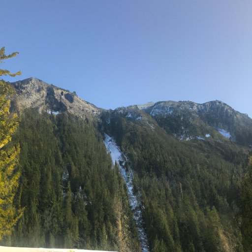 Exploring the Marketability of the 1000 lb Sisters