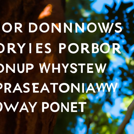 What to Consider When Choosing a Down Payment for an Investment Property