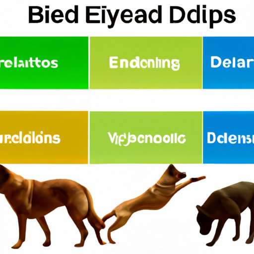 Breakdown of Exercise Needs by Breed
