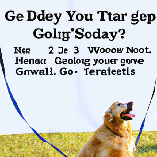 Tips for Exercising with Your Golden Retriever