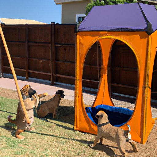 Creating a Safe Exercise Environment for Puppies