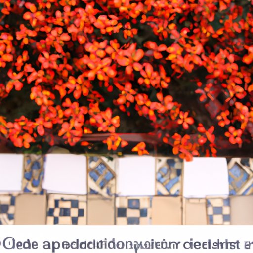 How Much Gabapentin Can I Give My Cat? The Enlightened Mindset