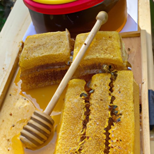 How Much Honey Does A Bee Make? Exploring the Life of a Honeybee and