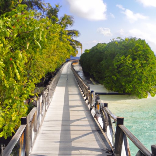 Exploring the Different Islands in the Maldives
