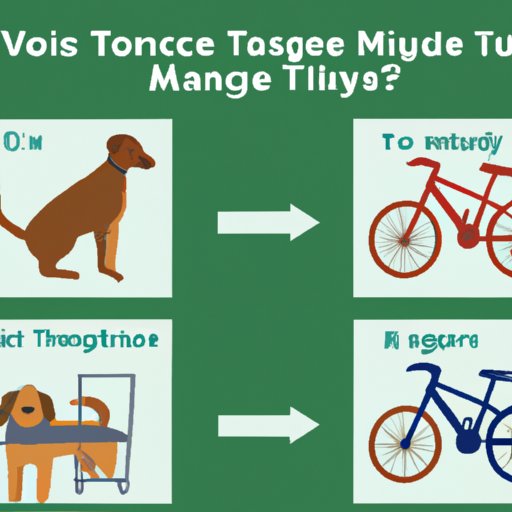 Exploring Different Types of Transportation Options and Their Costs for Traveling With Your Dog