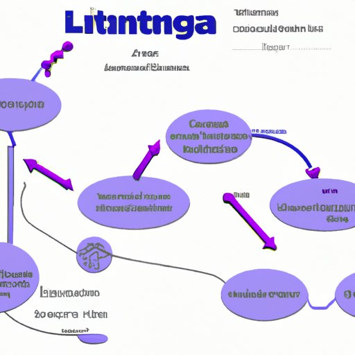 Navigating the Interaction between Lunesta and Other Drugs
