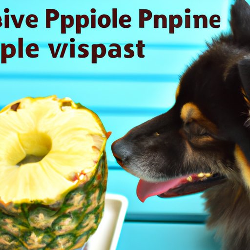 Benefits of Feeding Your Dog Pineapple to Stop Coprophagia