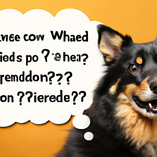 Common Questions Owners Ask About Giving Prednisone to Their Furry Friend