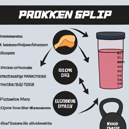 A Guide to Protein Intake for Muscle Building