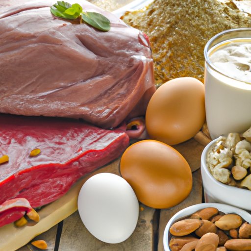 Foods High in Protein for Building Muscle