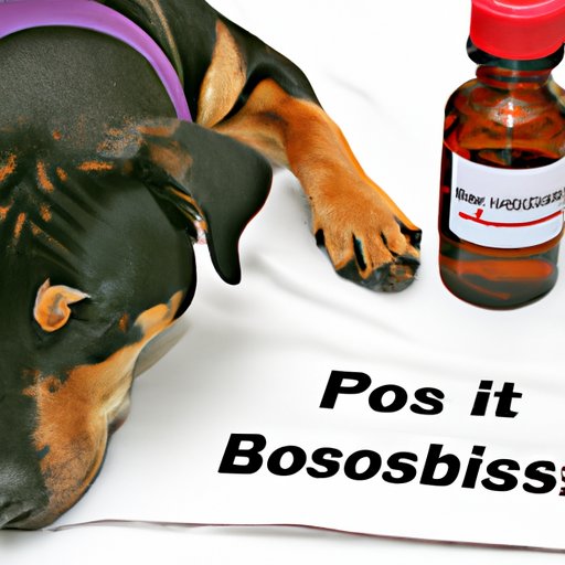 Investigating the Benefits of Robitussin for Dogs