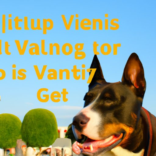 Tips for Applying to Veterinary School