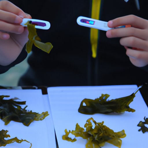 Quantifying the Nutritional Value of Seaweed