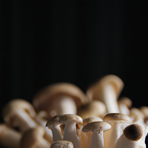 Exploring the Benefits of Eating a Controlled Amount of Mushrooms