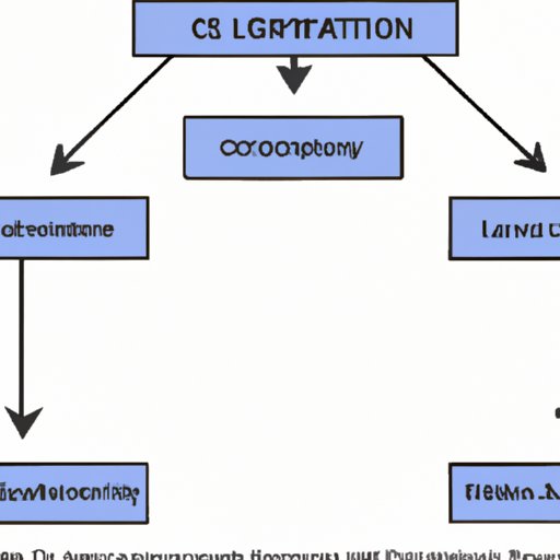 Overview of the LLC Structure