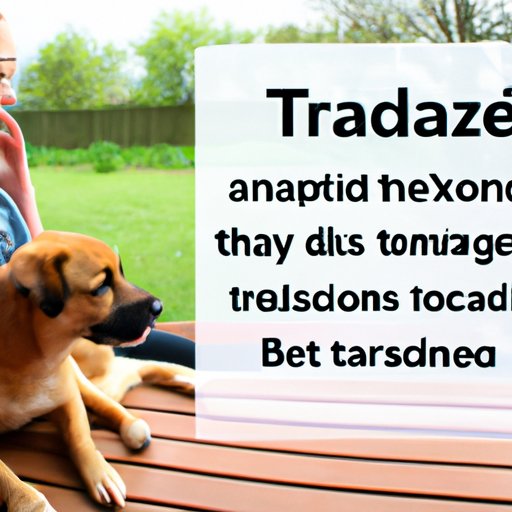 Understanding the Benefits and Risks of Giving Trazadone to Your Dog