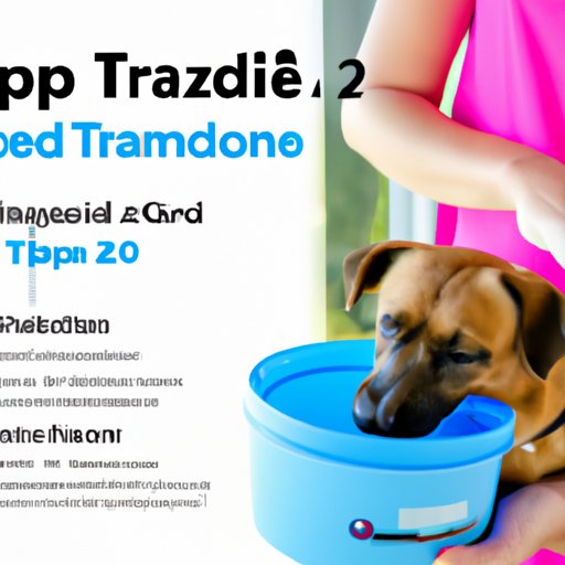 A Guide to Administering Trazodone Safely to Your Pet