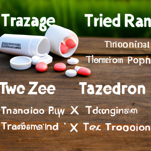 Understanding the Benefits and Risks of Trazodone for Dogs