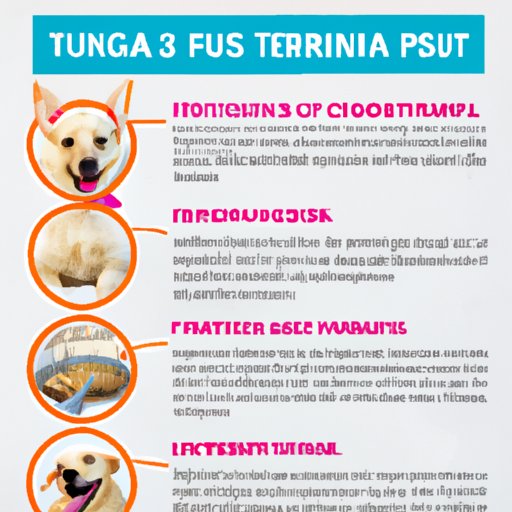 Overview of Nutritional Benefits of Feeding Your Dog Tuna