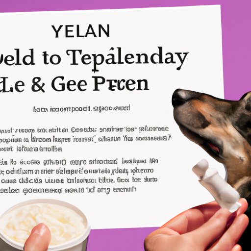 A Guide to Administering Tylenol to Your Dog