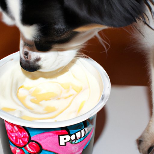 Exploring the Health Benefits of Feeding Yogurt to Dogs