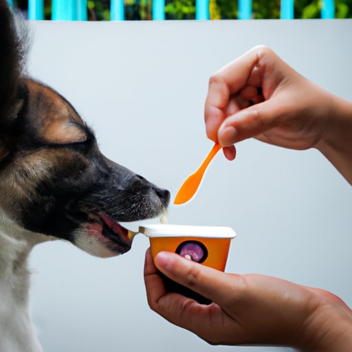 The Benefits of Feeding Yogurt to Your Dog
