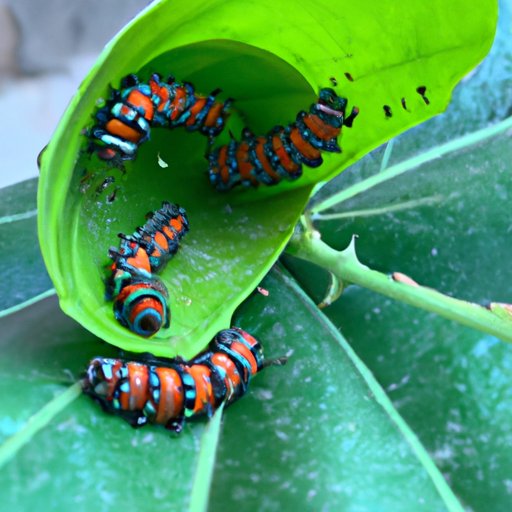 Understand the Cycle of Life