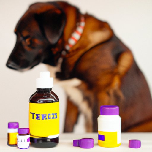 Alternatives to Benadryl for Treating Itching in Dogs