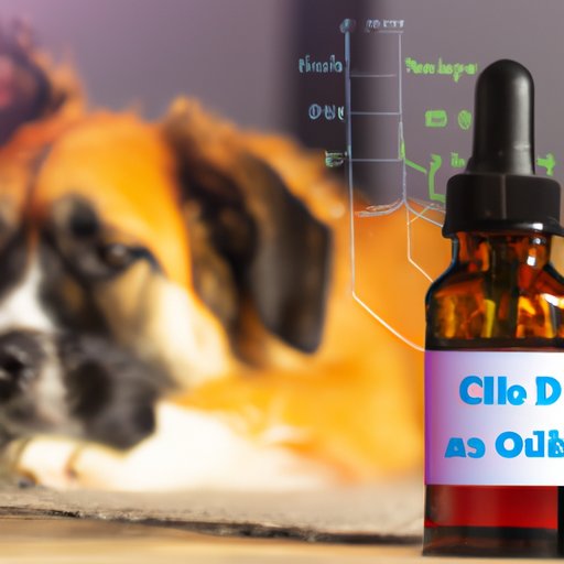 Investigating the Risks Associated with Giving CBD Oil to Your Dog and How Often to Give It