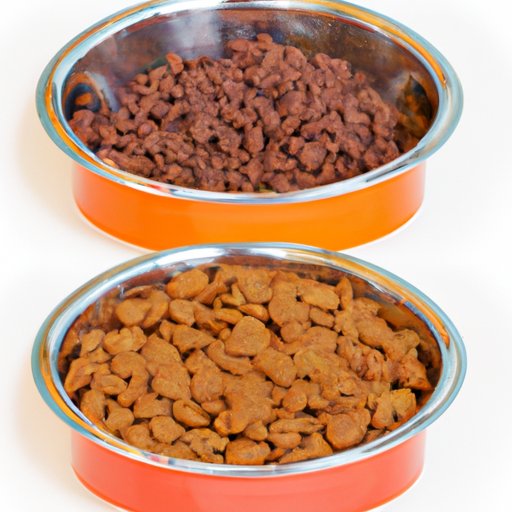 A Comparison of Wet and Dry Cat Food: Pros and Cons