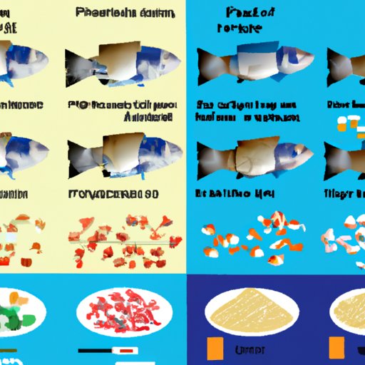 Comparing the Feeding Requirements of Different Types of Fish