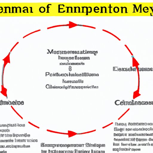 A Comprehensive Guide to Understanding Canine Menstruation Cycles