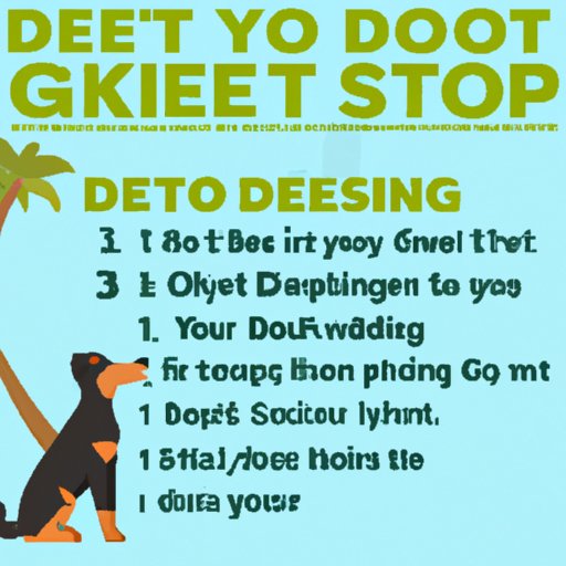 Creating a Plan: How to Decide How Often to Stop on a Road Trip with Your Dog