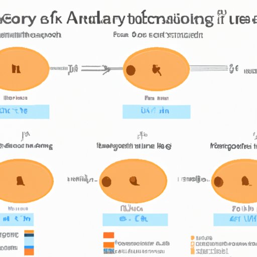 Analyzing the Impact of Age on Fertility in Male Dogs