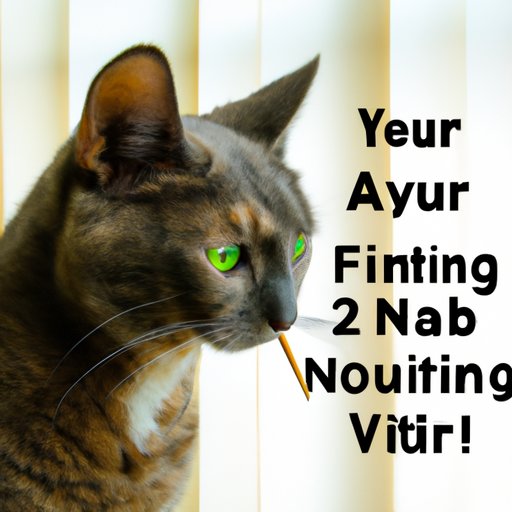 Final Thoughts on Age Restrictions for Catnip