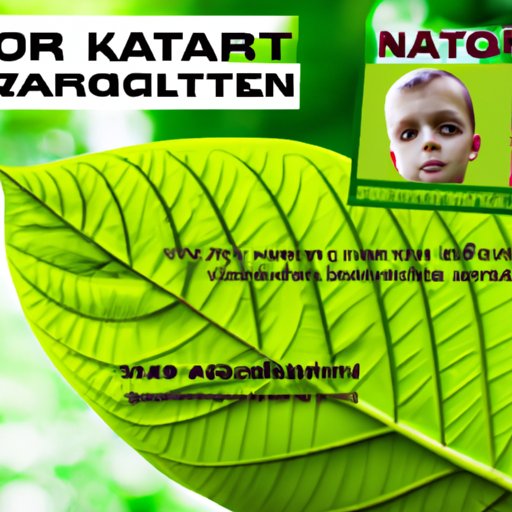 Understanding the Legality of Kratom and Its Age Restrictions