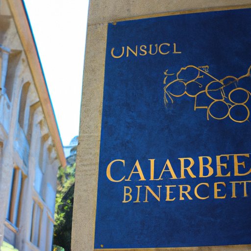 Investigating Unique Opportunities in Science and Engineering at UC Berkeley