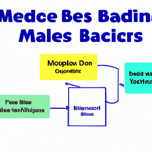 Explaining Medicare Basics: An Overview of How Medicare Works 