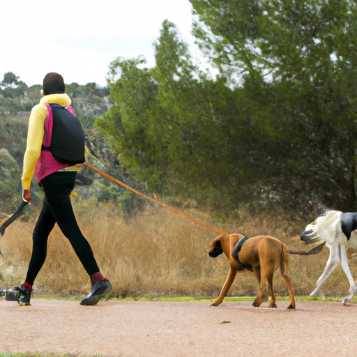 Overview of Dog Walking Profession